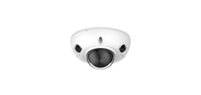 LUPUSNET LE228 4 Megapixel Domekamera V2  POE IP 67